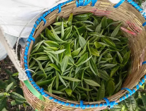 潮流买手店指南🛒TX淮海买潮流服饰到底值不值？我逛了三年跟你说点实话