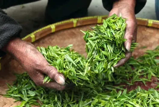 家庭全职妈妈在上海哪里有职场规划？别再迷茫，这份重返职场心理情感援助指南请收好💪